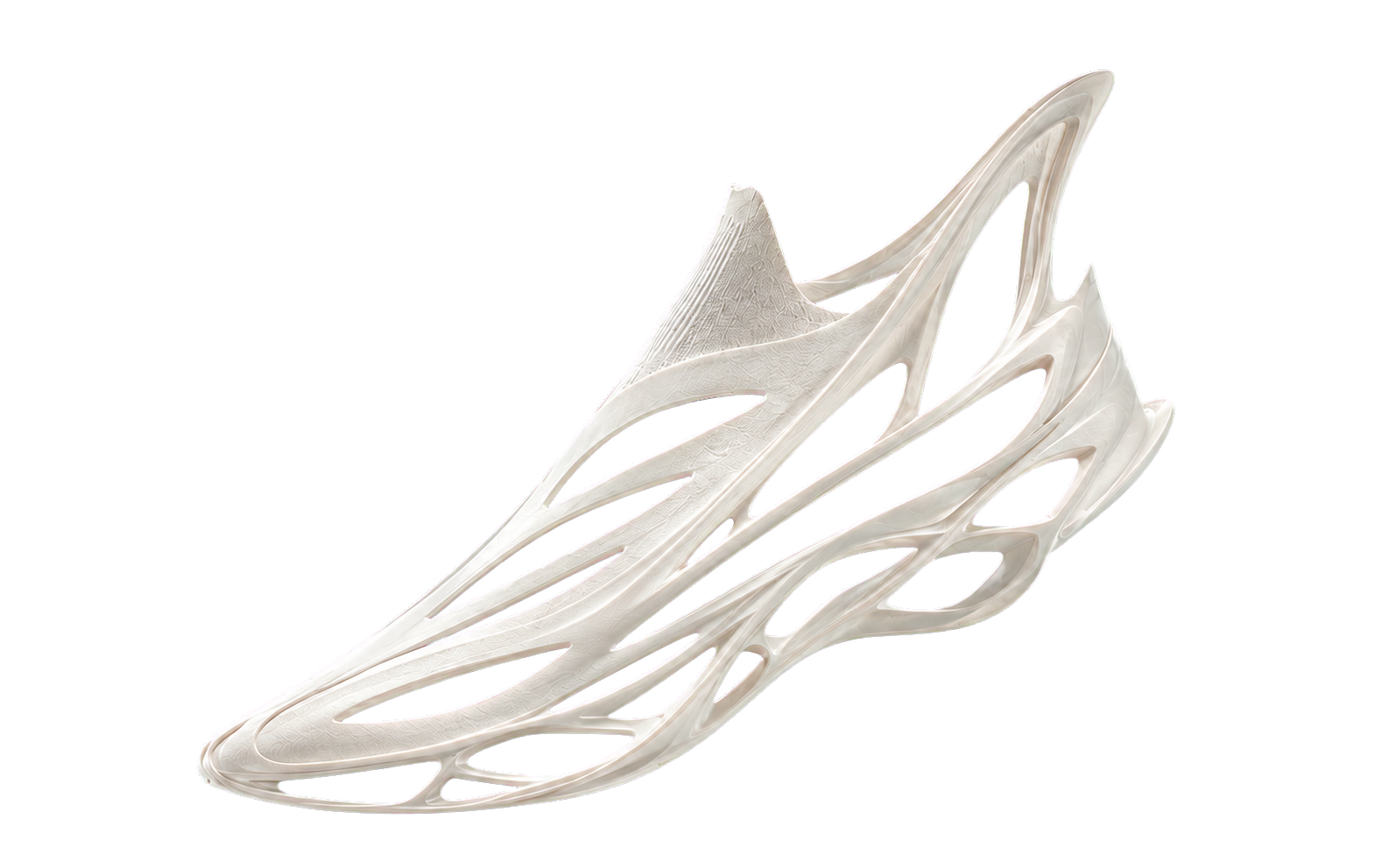 structural shell conceptual layer